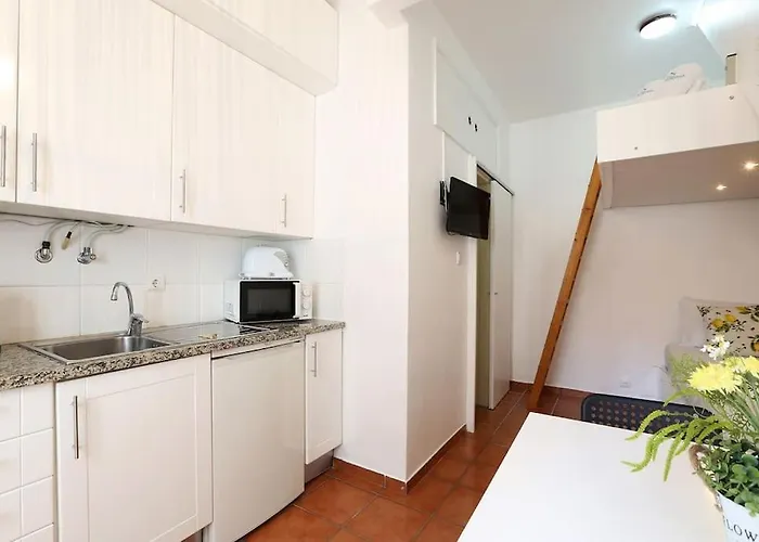 T0-sun Rise Apartament